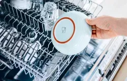 A Guide to Dishwasher: Programs & Cycles